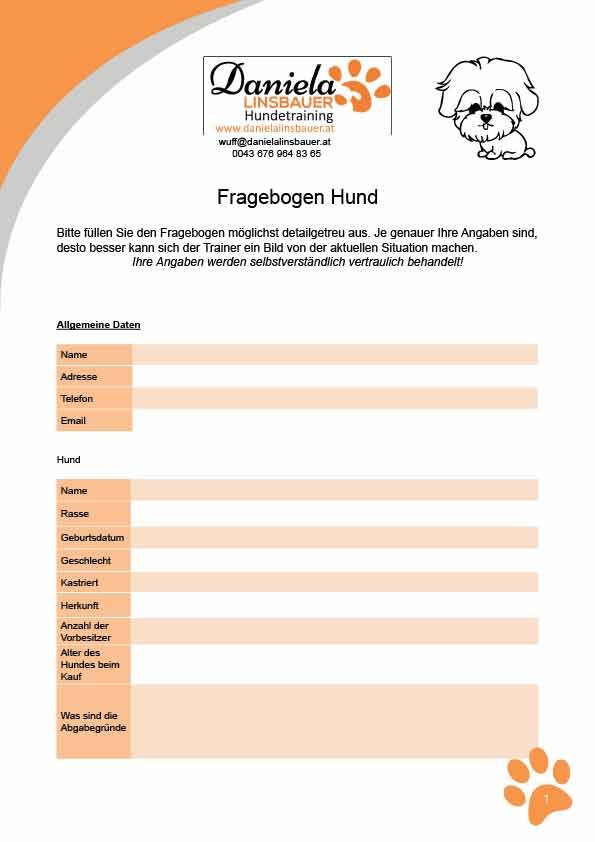 Linsbauer Questionnaire, Fillable PDF cover page